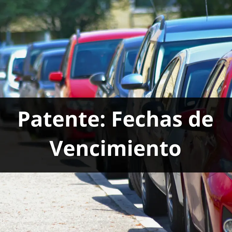 Verificación De Fechas de Vencimiento De La Patente