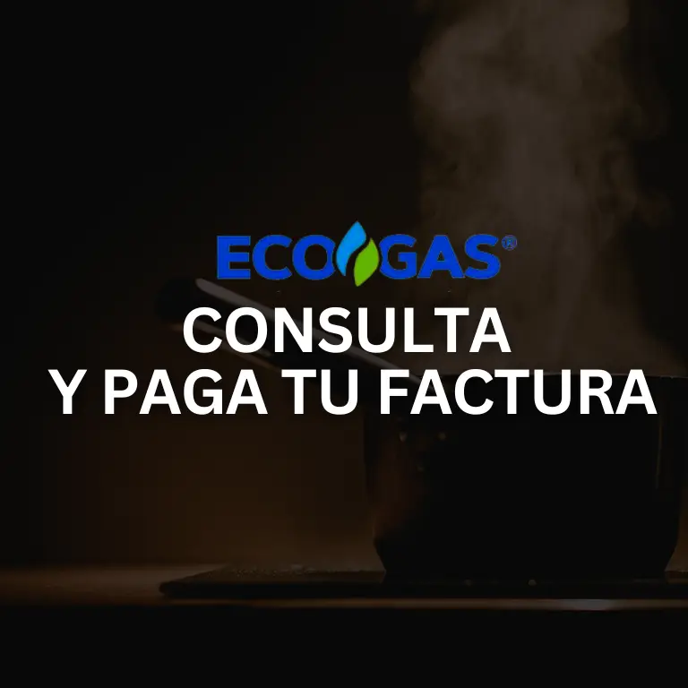Ecogas: Consulta y Paga Tu Factura En Simples Pasos